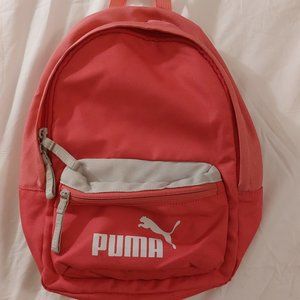 Puma bag